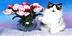 Logo Mạng