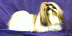 Logo Mạng